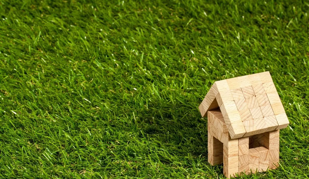 jardin pelouse petite maison