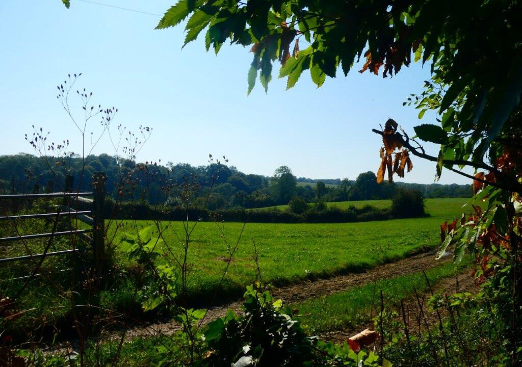 MAISON VENTE PONT L EVEQUE 14130 - SURFACE 130M2 - REF 4801 Photo 2