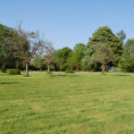 VIAGER VIAGER DEAUVILLE 14800 - SURFACE 320M2 - REF 4783 Photo 1