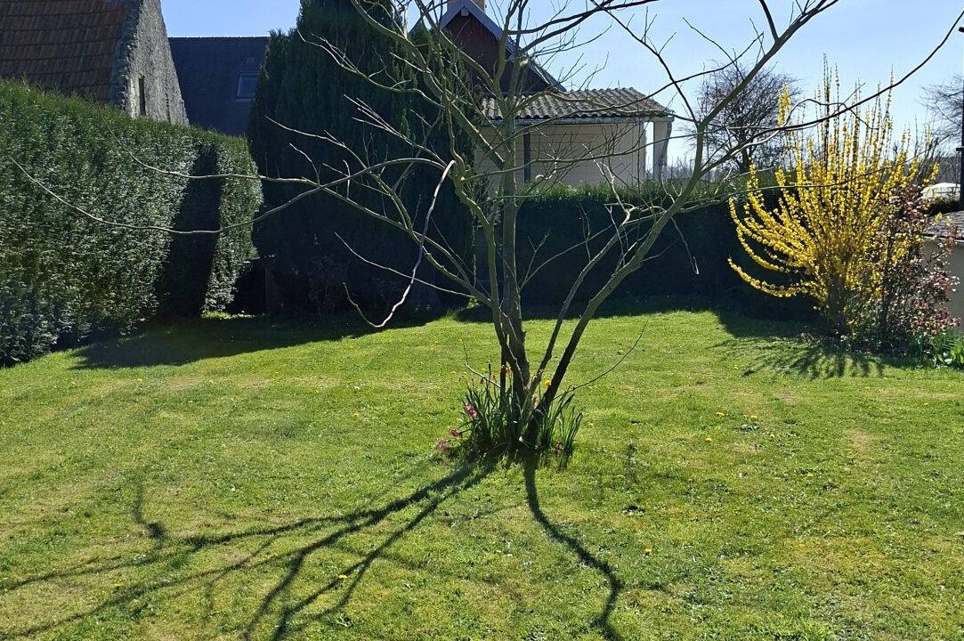 MAISON VENTE BAYEUX 14400 - SURFACE 117M2 - REF 4856 Photo 7