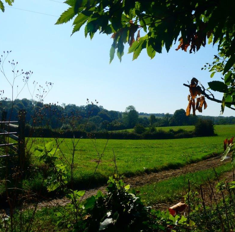 À 15 MIN DE PONT-L’ÉVEQUE - MAISON NORMANDE AVEC DEPENDANCES SUR UN TERRAIN DE PRES DE 2000 M2