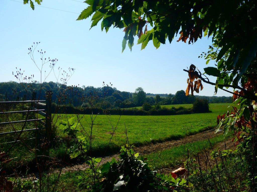 À 15 MIN DE PONT-L’ÉVEQUE - MAISON NORMANDE AVEC DEPENDANCES SUR UN TERRAIN DE PRES DE 2000 M2
