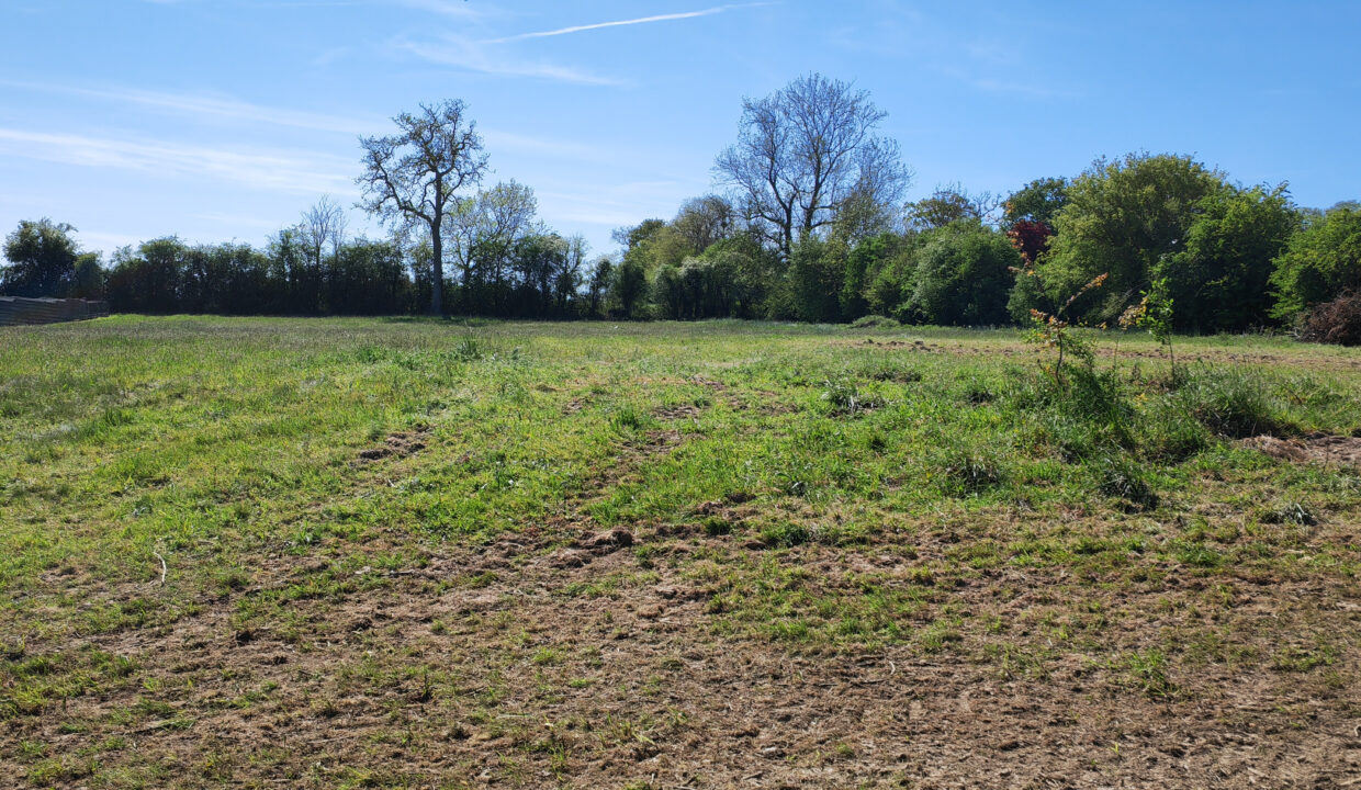 TERRAIN à BATIR VENTE PARFOURU SUR ODON 14310 - SURFACE 951M2 - REF 4875 Photo 2
