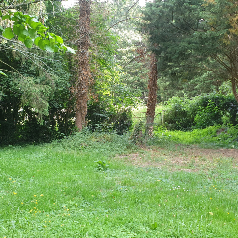CAMBREMER – RARE MAISON DE CARACTERE XVIII avec parc de 2855 M2