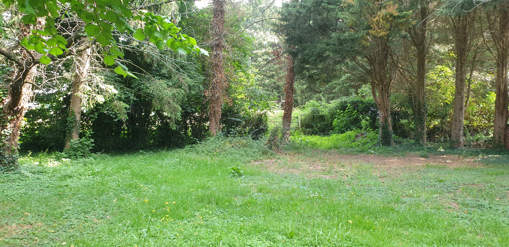 CAMBREMER – RARE MAISON DE CARACTERE XVIII avec parc de 2855 M2