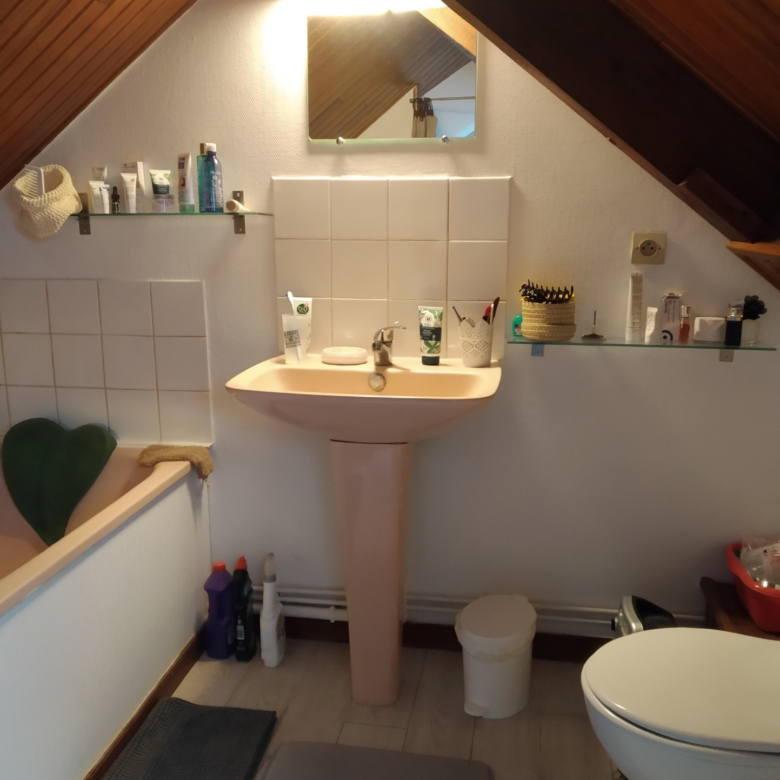 CAEN GENERAL MOULIN APPT 2PP DUPLEX